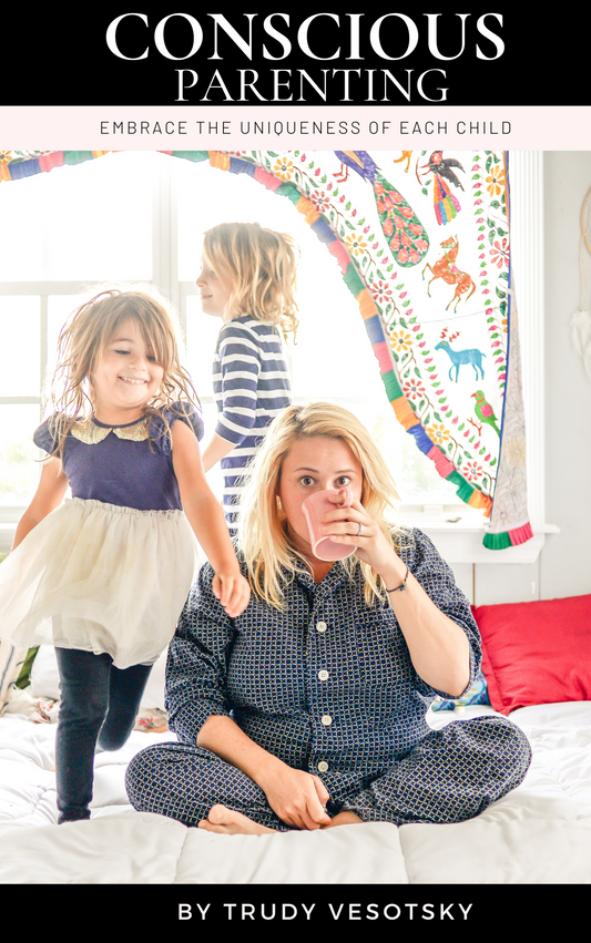 Conscious Parenting Facilitator Training