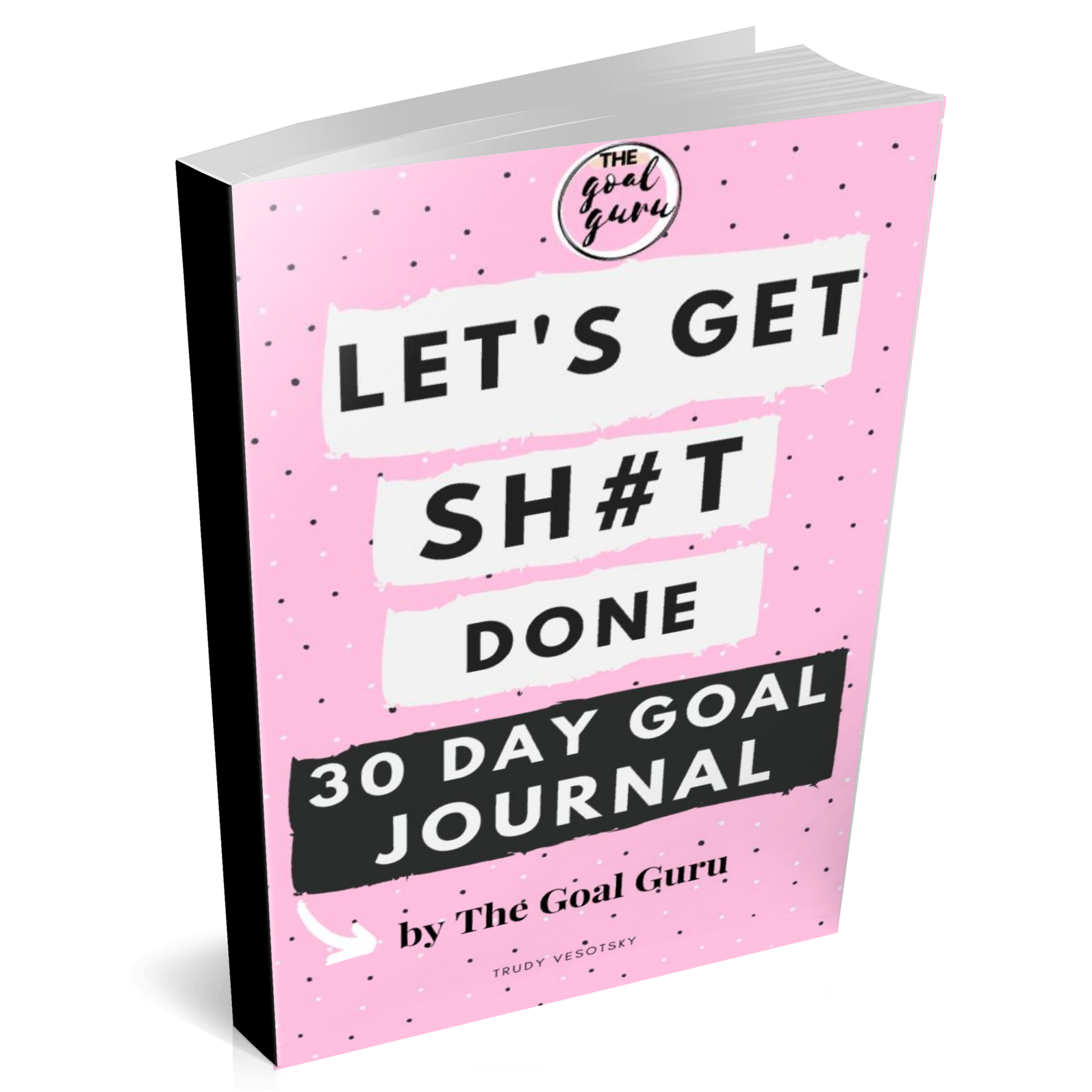 Let's Get Sh#t Done 30 Day Goal E-Journal